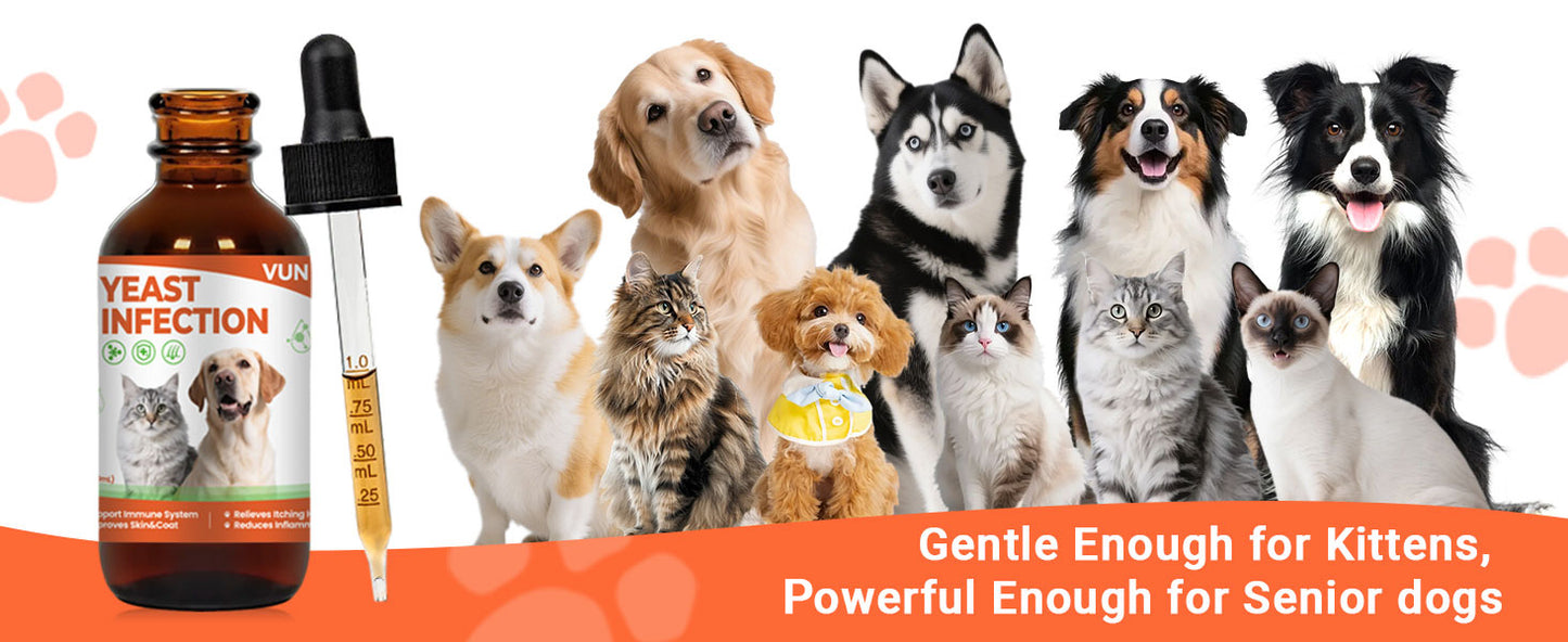 8c8d7397-92ed-4f26-9c4a-805208d8e70e