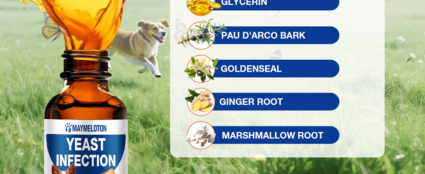 c77c3bd5-3445-4a6c-b5d5-cf8a3463d47b