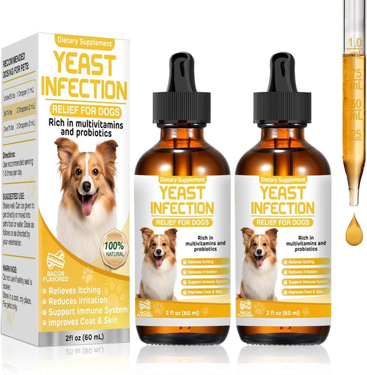 804e5880-5dda-4be8-a678-b2e2c4d896ed